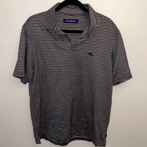 Striped Tommy Bahama Polo Pima Cotton Blend